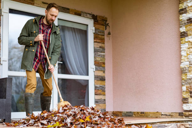 Best Dumpster Rental Services  in Doctor Phillips, FL