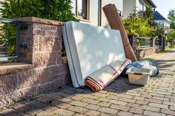 Best Basement Cleanout Services  in Doctor Phillips, FL